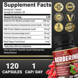 BMVINVOL Berberine Complex packaging side view