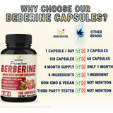 BMVINVOL Berberine Supplement bottle with label