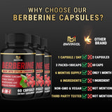 BMVINVOL Berberine Supplement on a wooden table