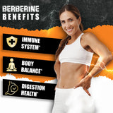 BMVINVOL Daily Berberine Capsules in a lifestyle setting