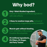 Bod Creatine Monohydrate Capsules in lifestyle setting