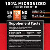 Body Fortress Creatine Monohydrate Powder 699g back view