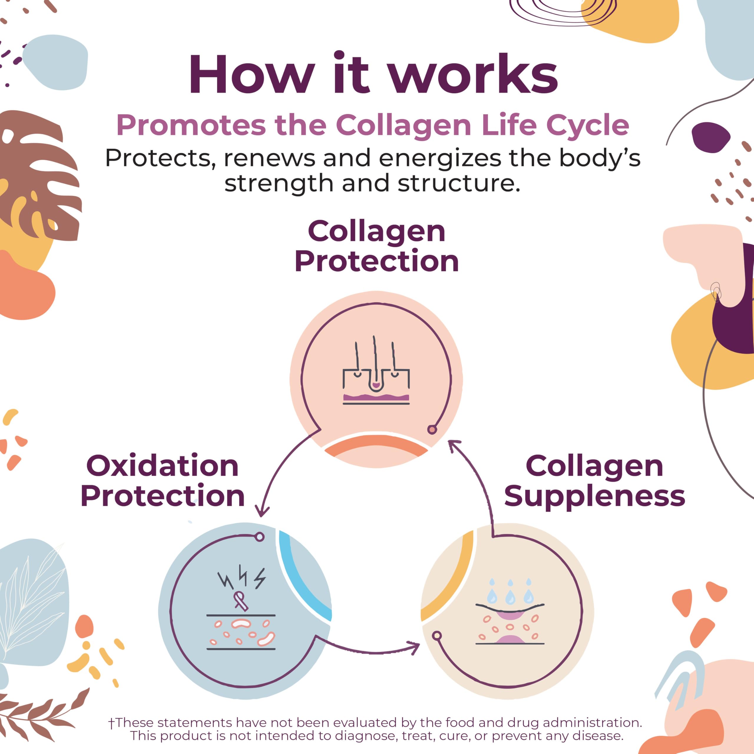 Body Kitchen Collagen Powder with Resveratrol packaging on a kitchen counter