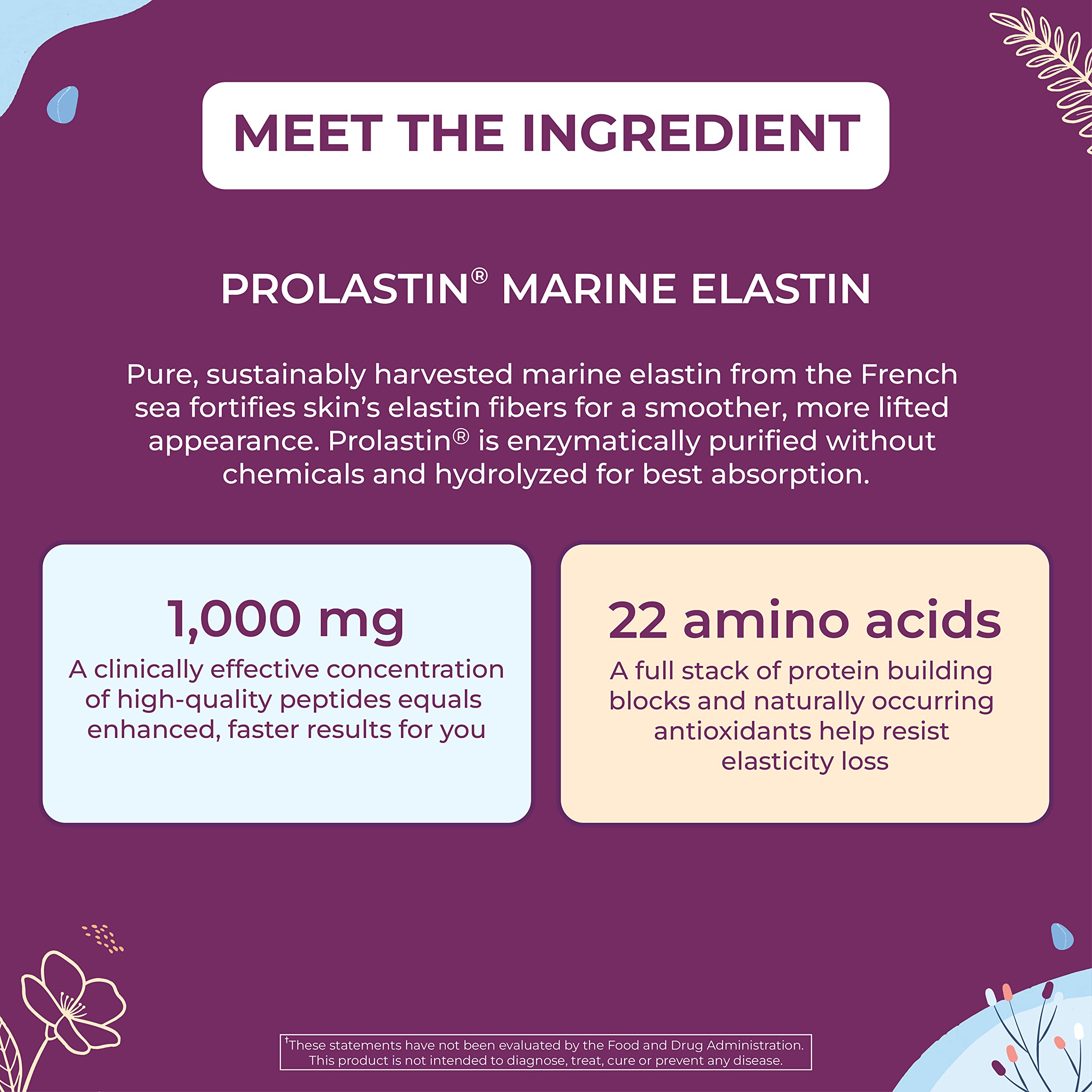 Body Kitchen Elastin Peptides Supplement ingredients list