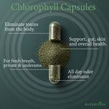 BodyBreeze Chlorophyll Capsules close-up showing organic parsley leaf