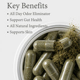 BodyBreeze Chlorophyll Capsules on a wooden table
