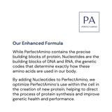 BodyHealth Perfect Amino BCAA Powder 229g ingredients list