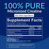 BodyTech 3-in-1 Creatine Glutamine Beta-Alanine Powder top view