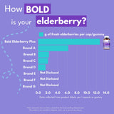 Bold Botanica Elderberry Supplement displayed with natural elements