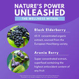 Bold Botanica Elderberry Supplement with eco-friendly packaging