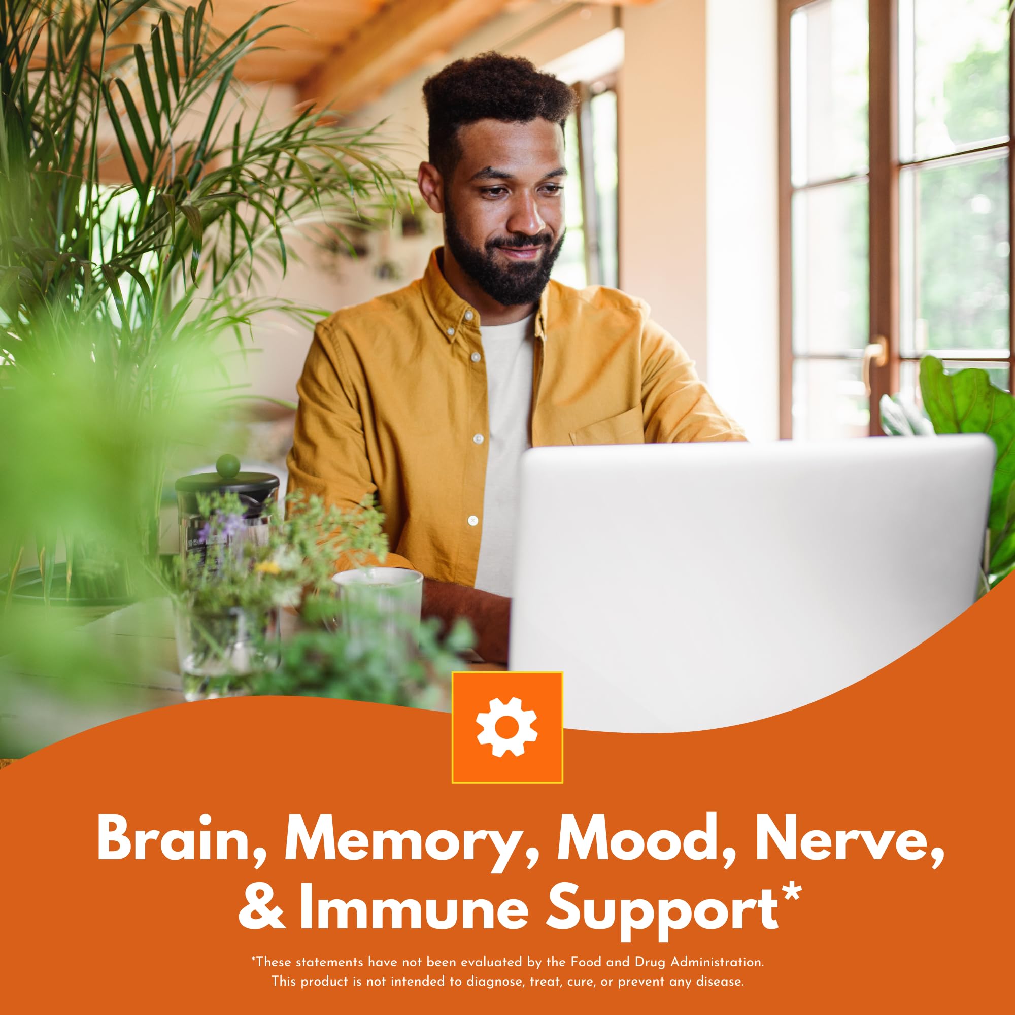 Bold Botanica Lion's Mane Mushroom Supplement ingredients list