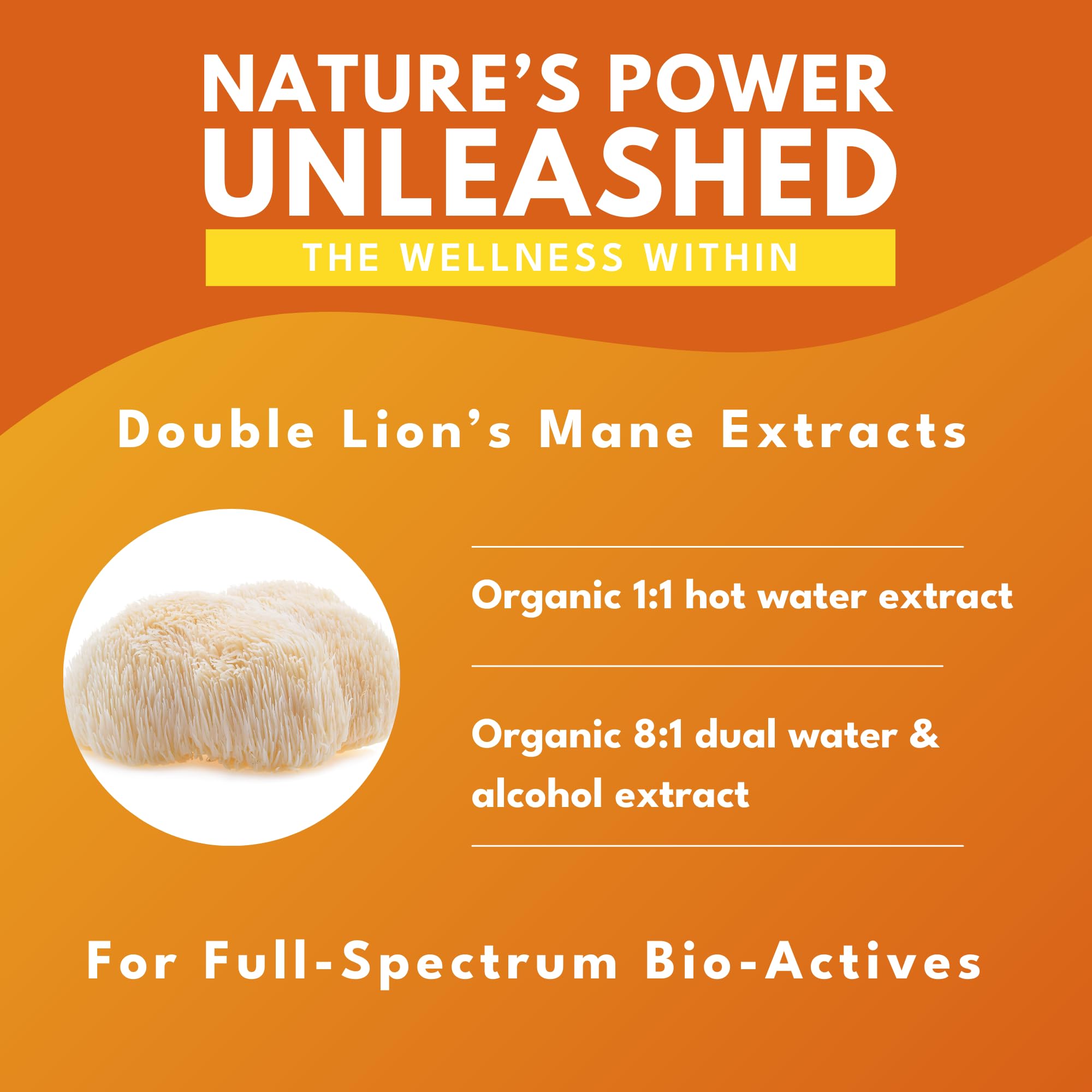 Bold Botanica Lion's Mane Mushroom Supplement packaging details