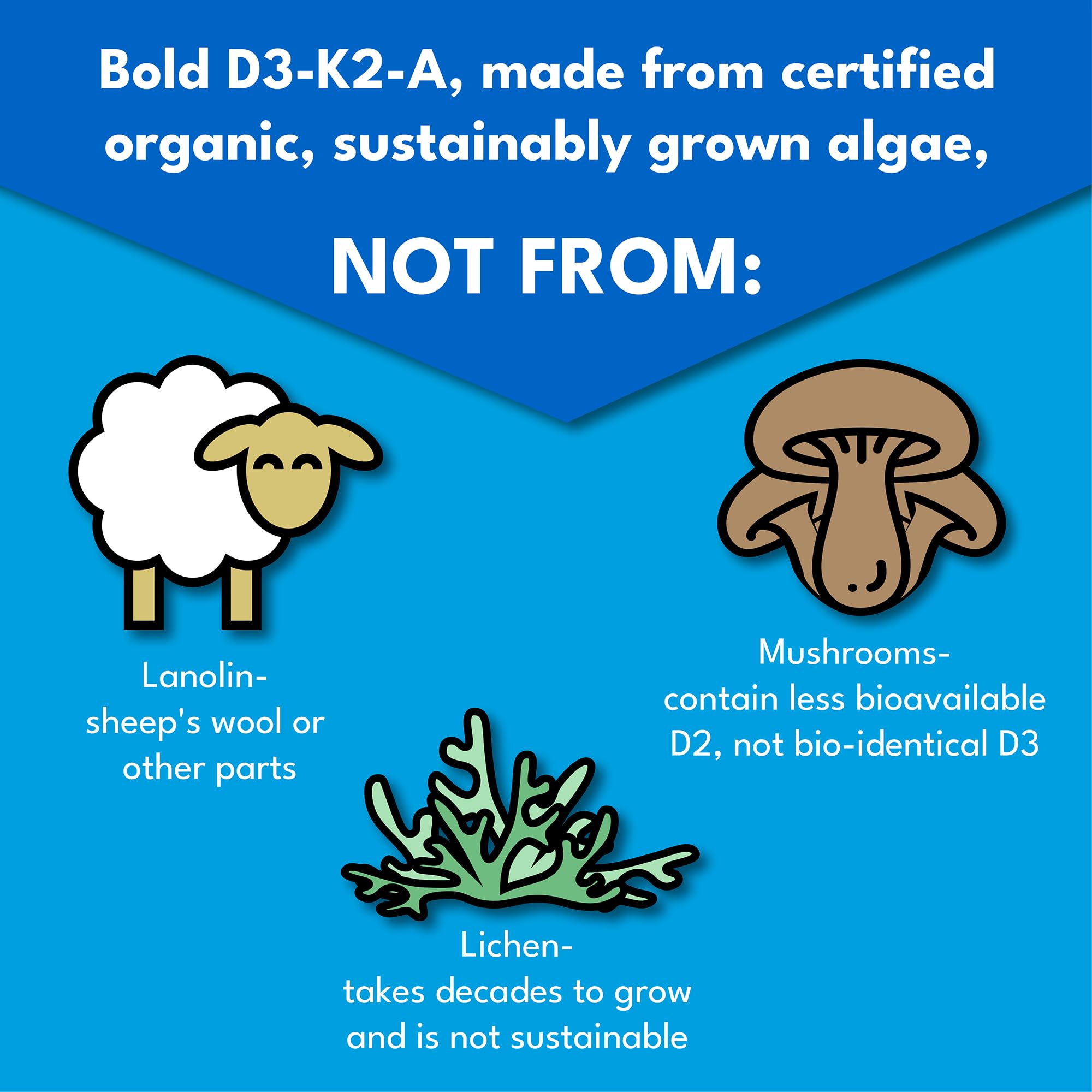 Bold Botanica Vegan Vitamin D3 K2 Drops close-up of dropper