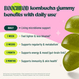 BoochBod Probiotic Kombucha Gummies close-up of gummies