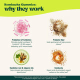 BoochBod Probiotic Kombucha Gummies close-up of gummies