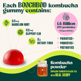 BoochBod Probiotic Kombucha Gummies lifestyle scene