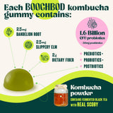 BoochBod Probiotic Kombucha Gummies on a wooden table