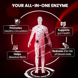 BOSCENT Lumbrokinase Multi-Enzyme Supplement 40mg back view