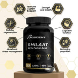 BOSCENT Shilajit Capsules showing nutritional information