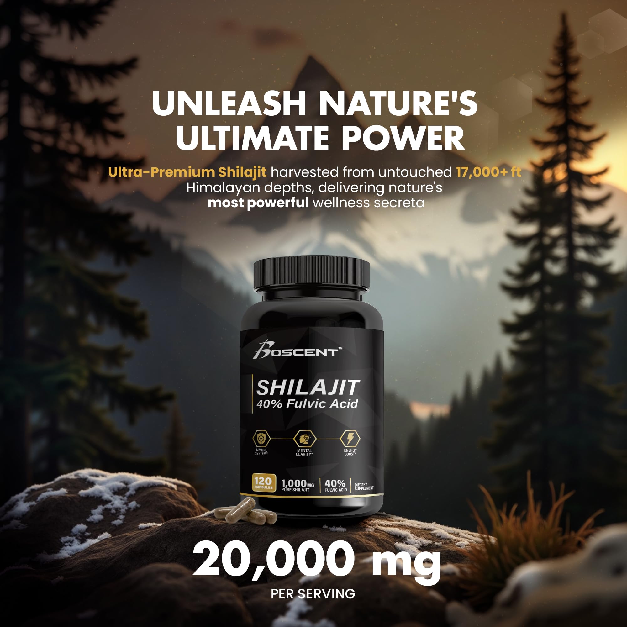 BOSCENT Shilajit Capsules top view of the bottle