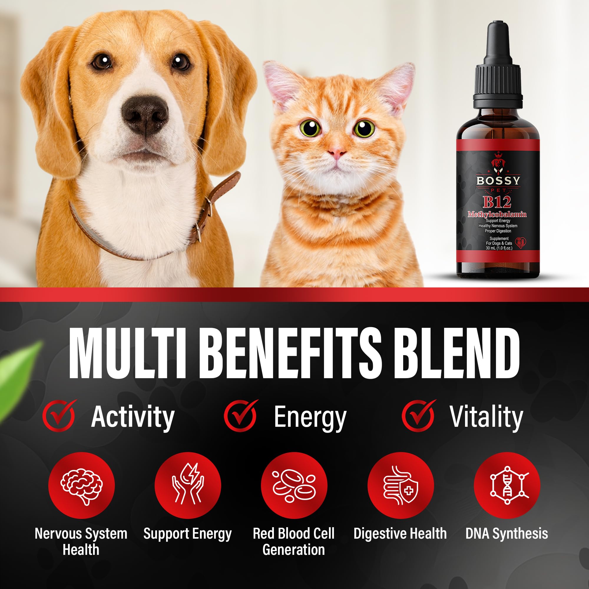 Bossy Pet Liquid B12 Supplement dropper close-up