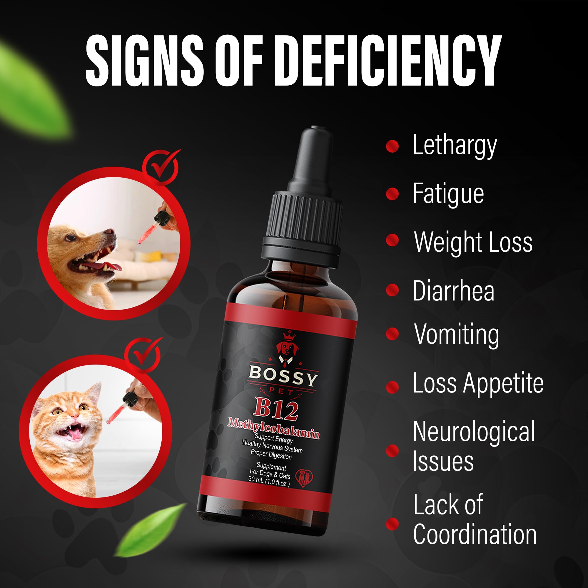 Bossy Pet Liquid B12 Supplement on a wooden table