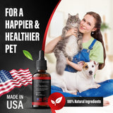 Bossy Pet Liquid B12 Supplement with a happy cat