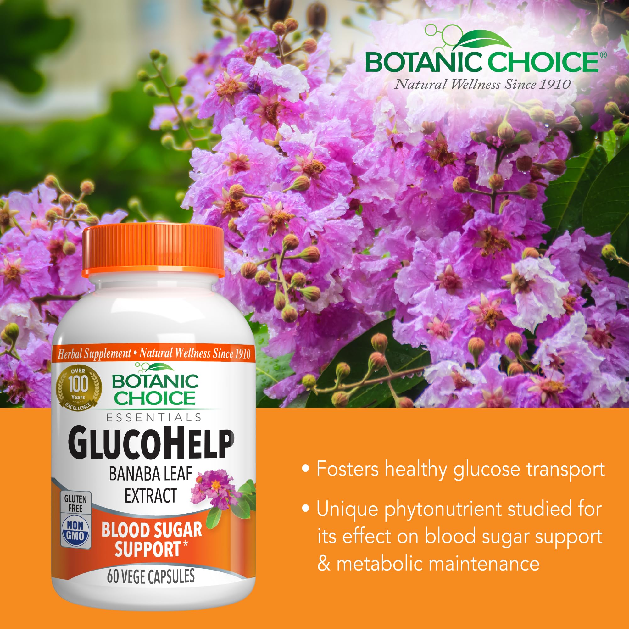 Botanic Choice Banaba Leaf Extract 18% Corosolic Acid packaging