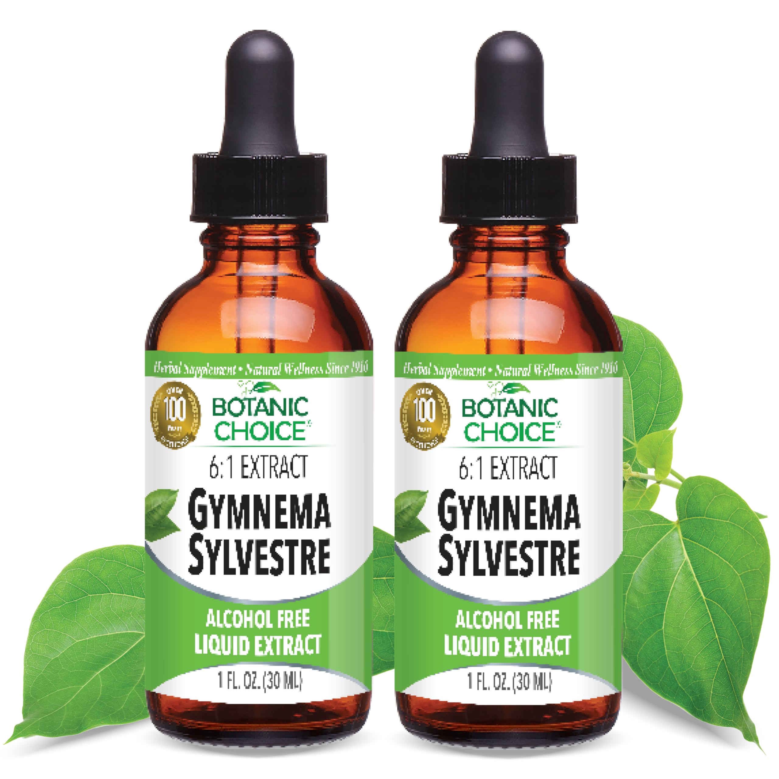Botanic Choice Gymnema Sylvestre Liquid Extract 195g front view
