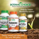 Botanic Choice Turmeric Curcumin Capsules 500mg close-up of capsules