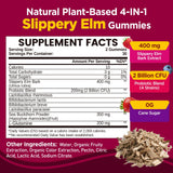 Bottle of NATISLAND Slippery Elm Gummies showing 60 count