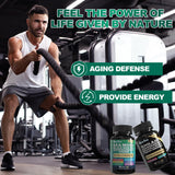 Boysea Shilajit and Sea Moss capsules in a lifestyle setting