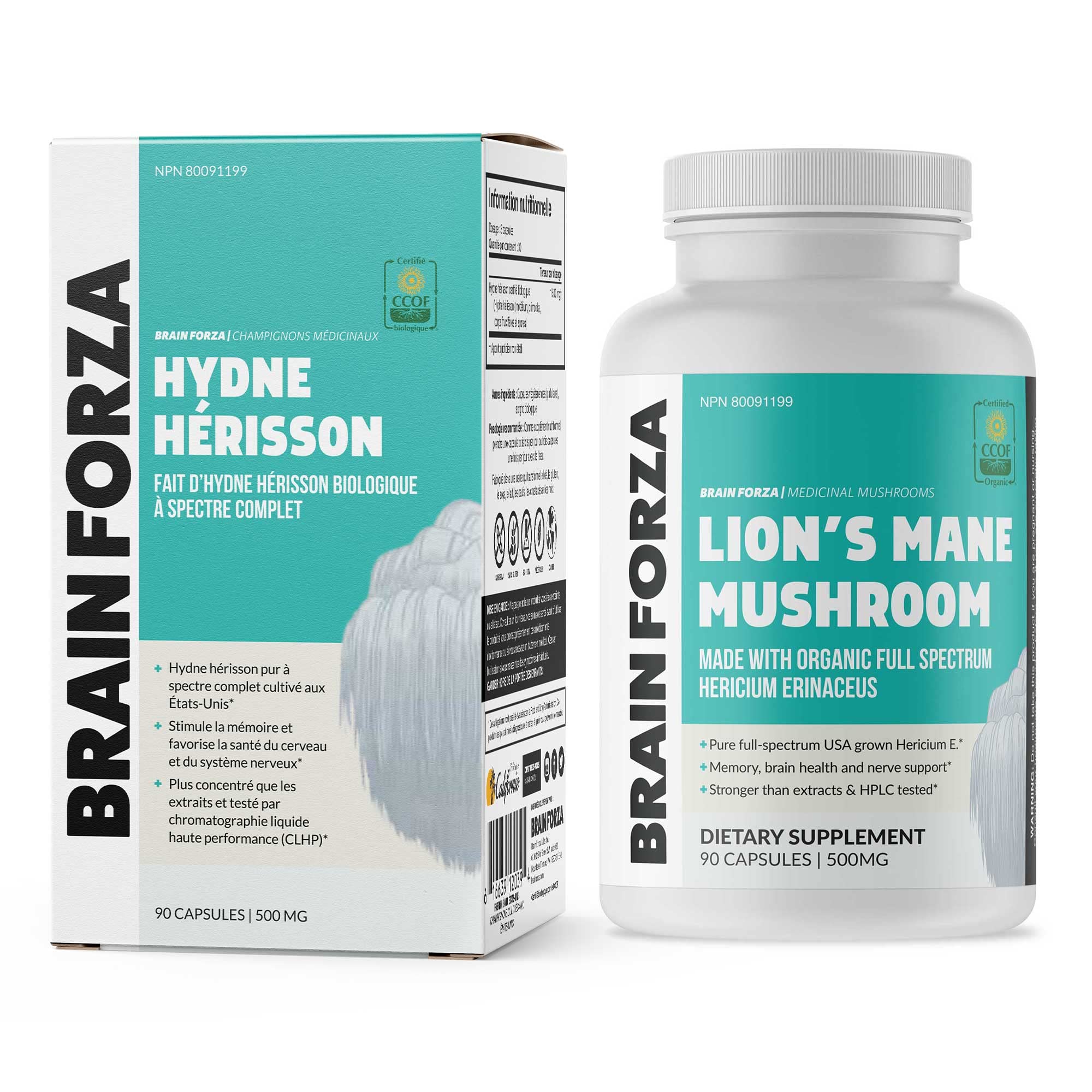 Brain Forza Lion's Mane Mushroom Capsules on a wooden table