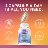Brainista Yerba Mate Capsules showing ingredient list