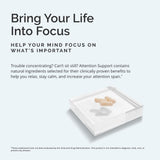 BRAINMD Attention Support supplement back view with ingredient list