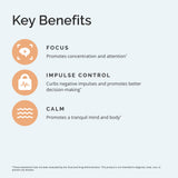 BRAINMD Attention Support supplement lifestyle scene with a notebook