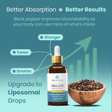 BREATHIUM Mullein Extract Drops in a glass with water