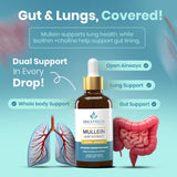 BREATHIUM Mullein Extract Drops with fresh peppermint leaves