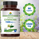 Brieofood Organic Gymnema 1500mg tablet close-up