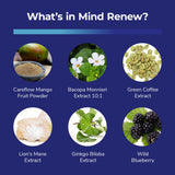 Bright Naturals Mind Renew Ginkgo Biloba supplement bottle with label