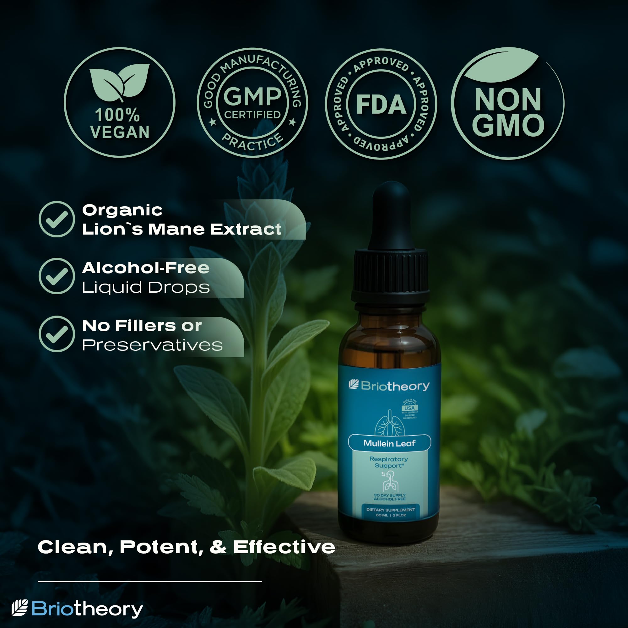 BRIOTHEORY Mullein Leaf Extract Tincture 1000mg bottle side view