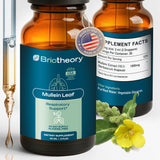 BRIOTHEORY Mullein Leaf Extract Tincture 1000mg front view