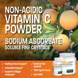 Bronson Vitamin C powder scoop with contents