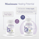 BruiseMD Bromelain Supplement 500mg packaging