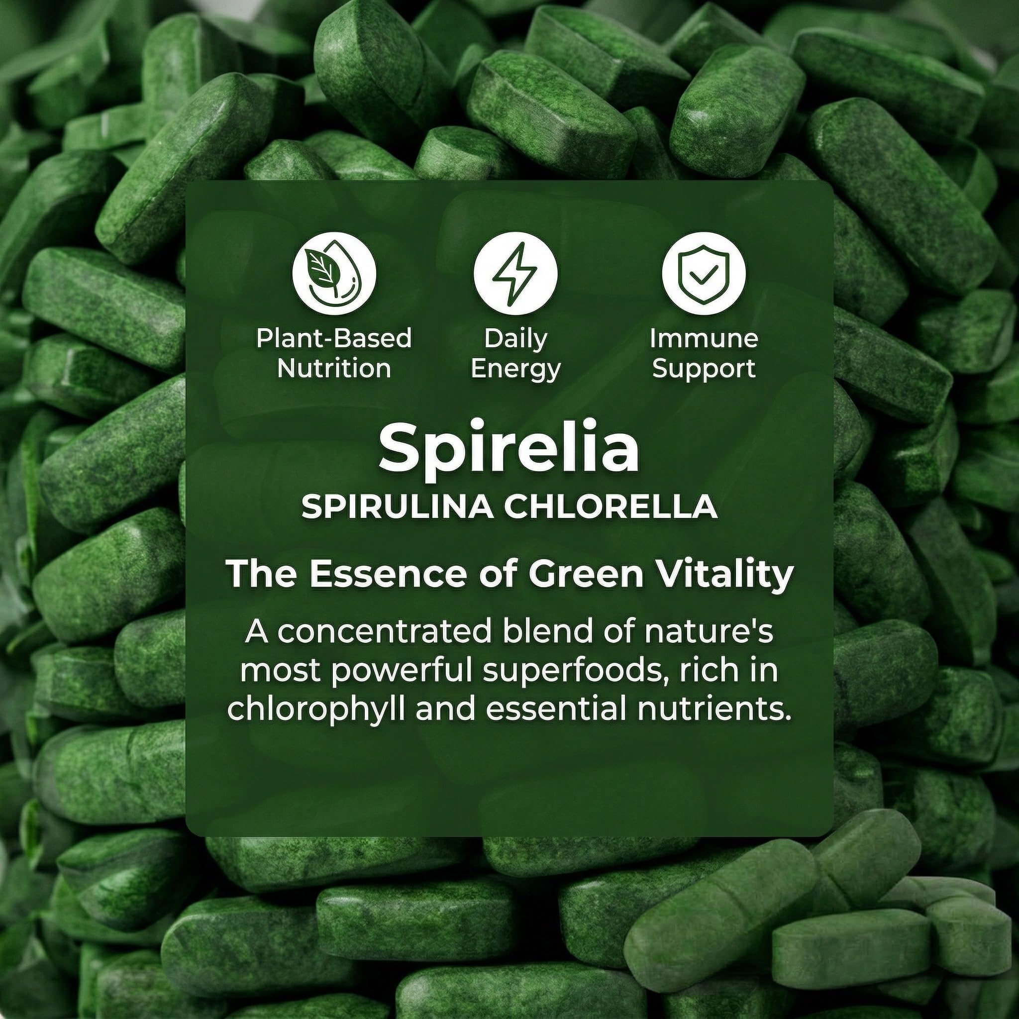Bruiseweed Spirulina & Chlorella Daily Greens Blend back of the bottle