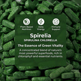 Bruiseweed Spirulina & Chlorella Daily Greens Blend back of the bottle