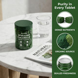 Bruiseweed Spirulina & Chlorella Daily Greens Blend bottle side view