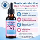 BRYWSDHA Collagen for Dogs & Cats 132g liquid supplement ingredients list