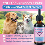 BRYWSDHA Collagen for Dogs & Cats 132g liquid supplement with measuring cap