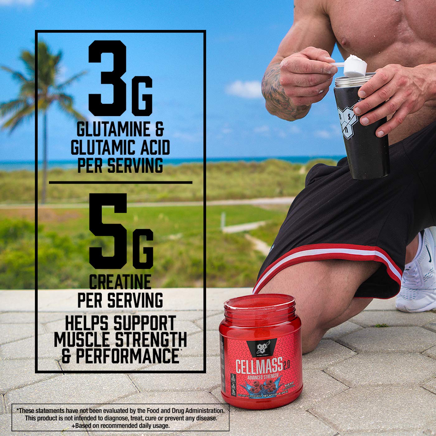 BSN CELLMASS 2.0 Arctic Berry with shaker bottle